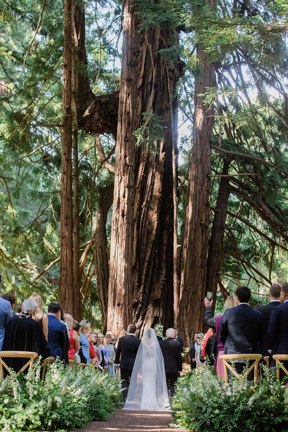Elegant green and white wedding at Santa Lucia Preserve